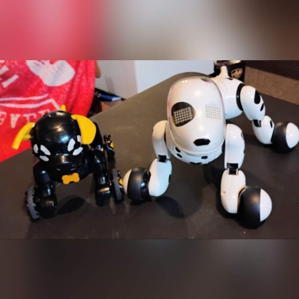 Two dog robots